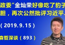 江森哲:“政委”金灿荣好像吃了豹子胆,再次公然批评习近平,这是怎么回事?