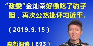 江森哲:“政委”金灿荣好像吃了豹子胆,再次公然批评习近平,这是怎么回事?