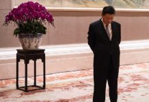 外媒看习近平19:习近平如同困在失控的电梯中