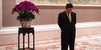 外媒看习近平19:习近平如同困在失控的电梯中