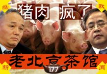 老北京茶馆:猪肉疯了!胡春华疯了!蔡奇也疯了!港人持续抗争