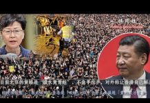 dujia:经济濒崩盘,“彻底收回”香港做“政绩” 四中全会主要议题“党内政治监督”