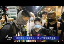 一位蒙面大陸人被港民當場驗證 並接受採訪 一位西人高呼:我愛自由香港