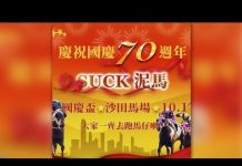 【黑色10.1】全港多區示威情況