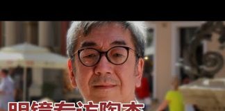 陶杰:红二代才是带路党;库克北京邀功,准备扩大在华投资