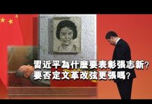 张杰:习近平为什么要表彰张志新?要否定文革改弦更张吗?
