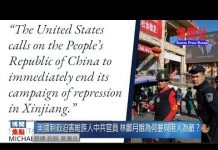 夏业良:美国制裁迫害维族人中共官员 林郑月娥为何要与港人为敌?