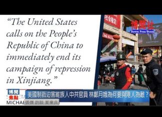 夏业良:美国制裁迫害维族人中共官员 林郑月娥为何要与港人为敌?
