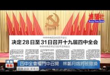 夏业良:四中全会权斗中召开 林郑月娥将被撤换