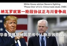 郭宝胜:纳瓦罗就第一阶段协议正与川普争战、华春莹狠批纳瓦罗书中人物原因竟在此!