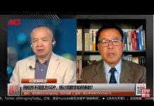 李恒青 陈小平:向松祚不信官方GDP,统计局数字怎么来的?