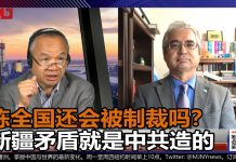 伊力夏提 陈小平:美国制裁新疆官员签证,陈全国还能安稳几日?