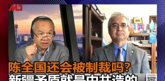 伊力夏提 陈小平:美国制裁新疆官员签证,陈全国还能安稳几日?