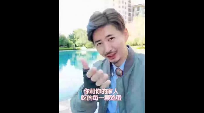 陈秋实:人民要不要感谢政府?