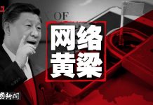 中国新闻 :美国将对中共所有成员限制在美行动,包括外国代理人;习近平全球网络共同体黄梁一梦