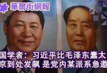 华尔街网报:美国顶级学者:习近平比毛泽东蠢太多!