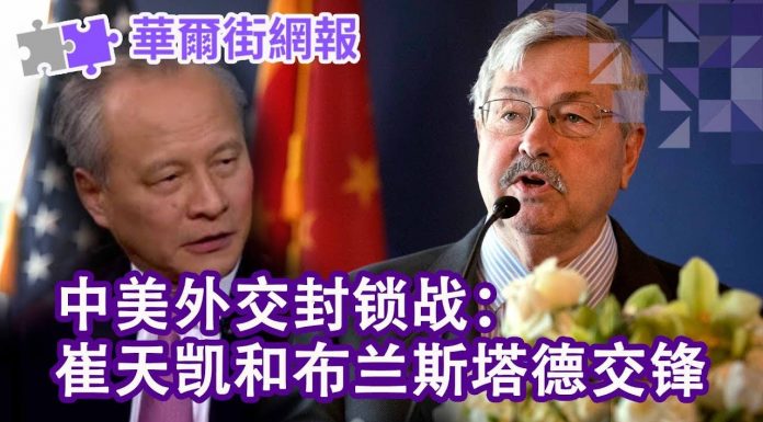 华尔街网报:中美外交封锁战:崔天凯和布兰斯塔德交锋;刘士余案不寻常