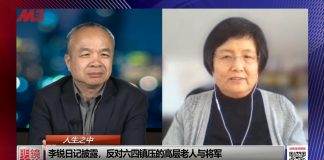 李南央:邓小平该钉上耻辱柱,改革开放充满腐败黑暗!