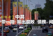 海风:黄老鼠给鸡修路架桥,鸡会怕吗?