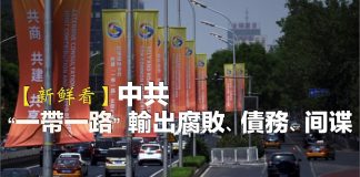 海风:黄老鼠给鸡修路架桥,鸡会怕吗?