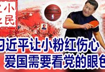 小民之心:习近平让小粉红伤心 爱国需要看党的眼色