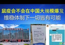 郭宝胜:鼠疫会不会在中国大规模爆发?维稳体制下一切皆有可能