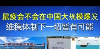 郭宝胜:鼠疫会不会在中国大规模爆发?维稳体制下一切皆有可能