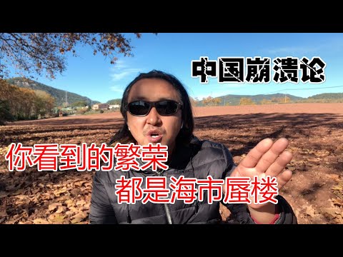 公民老黑:中国崩溃论,您所看到的强国只是纸糊的假象,威猛的老虎只是纸老虎!