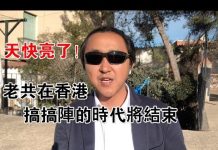 公民老黑:天快亮了捷报频传:香港区议会选举泛民主派大胜!你不给我自由,那我自己去创造自由!