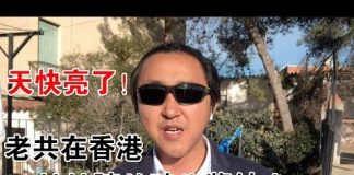 公民老黑:天快亮了捷报频传:香港区议会选举泛民主派大胜!你不给我自由,那我自己去创造自由!