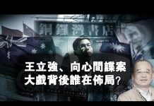 夏业良:王立强、向心间谍案大戏背后谁在布局?