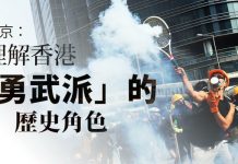 夏业良:香港区议会选举充分表达民意/勇武派抗争不容抹杀或抹黑