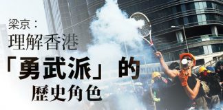 夏业良:香港区议会选举充分表达民意/勇武派抗争不容抹杀或抹黑