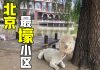 名侦探拳头:走进北京富人区,贫穷限制了我的想象力 这里竟然有….