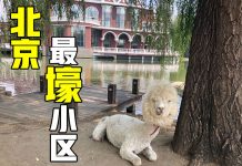 名侦探拳头:走进北京富人区,贫穷限制了我的想象力 这里竟然有….