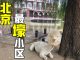 名侦探拳头:走进北京富人区,贫穷限制了我的想象力 这里竟然有….