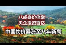 中国网事:中国物价暴涨至八年来新高,八戒身价倍增,央企投资百亿养殖
