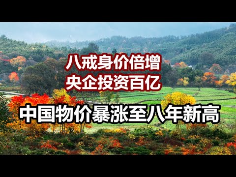 中国网事:中国物价暴涨至八年来新高,八戒身价倍增,央企投资百亿养殖