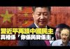 杰斯:習近平再談中國民主 真相係「你係民我係主」