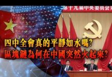夏业良:四中全会真的平静如水吗?区块链为何在中国突然火起来?
