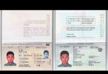 华尔街网报:叛逃间谍王立强回应诈骗指控:中共惯用技俩;美国安顾问:习近平与希特勒没区别