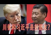 林林七:川普和习近平是好朋友吗?法案为什么还没签字?