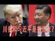 林林七:川普和习近平是好朋友吗?法案为什么还没签字?
