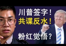 老北京茶馆:特朗普签署香港人权法案!香港民意大胜,共谍王立强反水,粉红觉悟?