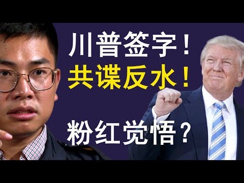 老北京茶馆:特朗普签署香港人权法案!香港民意大胜,共谍王立强反水,粉红觉悟?