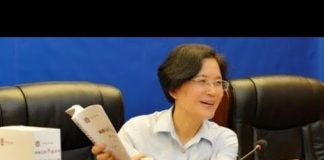 吴建民:私人飞机被遣返,误国误朕智囊团,美国高铁空中架,200亿法官现海南