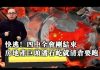 张杰:快逃!四中全会刚结束 房地产巨头潘石屹就清仓要跑