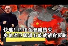 张杰:快逃!四中全会刚结束 房地产巨头潘石屹就清仓要跑