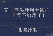 财经冷眼:继李嘉诚后,又一巨头胜利大逃亡!韭菜不够用了!