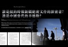 张杰:谁是纽约时报新疆绝密文件的泄密者?谁是中国当代的辛德勒?